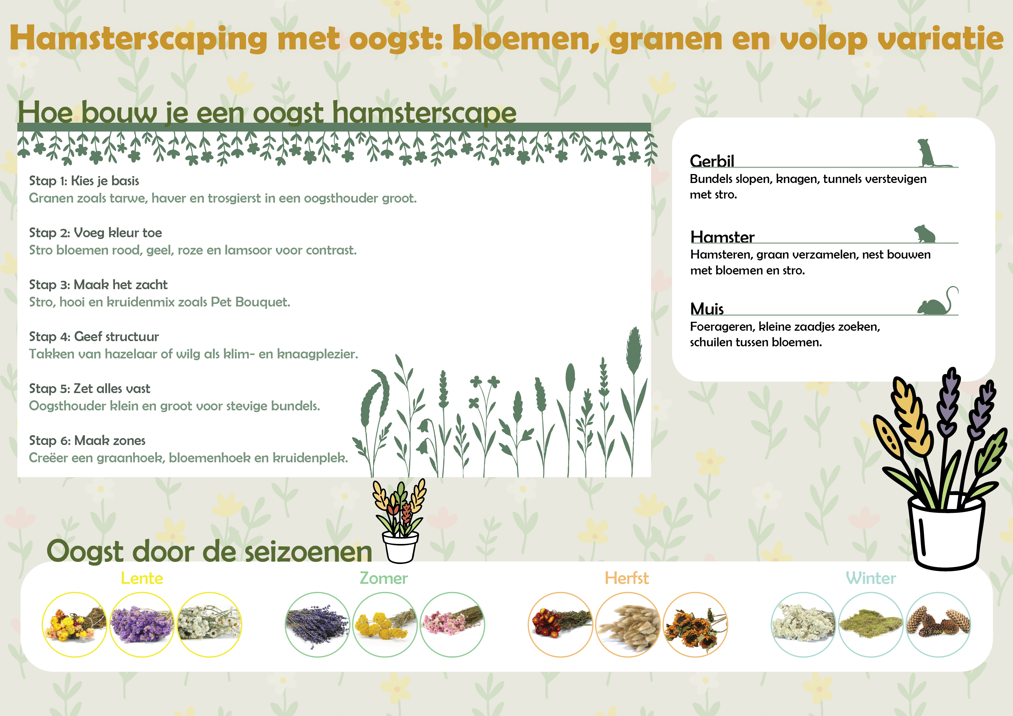 Bekijk verschillende soorten oogst
